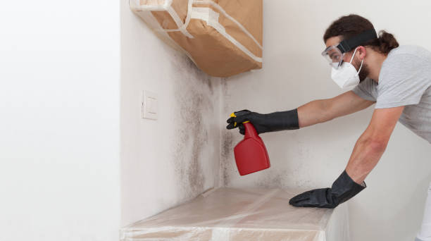Professional Attic Mold Remediation technician working in Windsor, VA