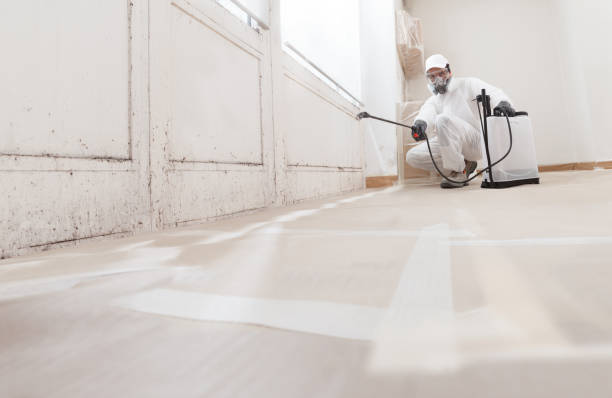 24/7 Emergency Attic Mold Remediation experts in Windsor, VA